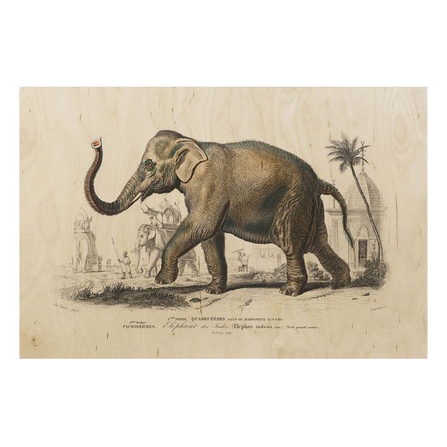 Print on wood - Vintage Board Elephant