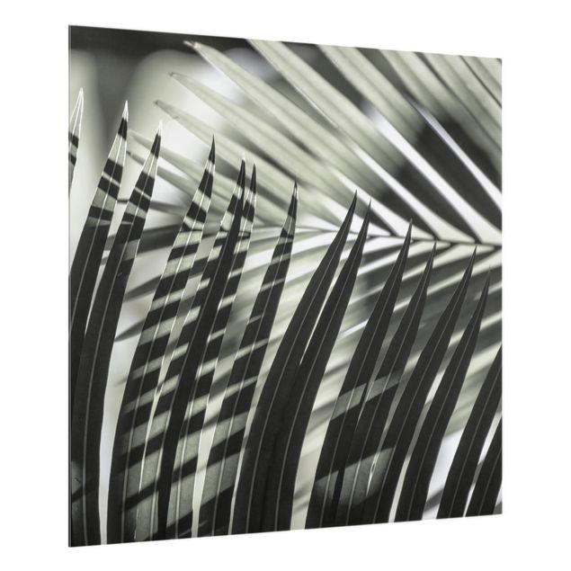 Glass splashback Interplay Of Shaddow And Light On Palm Fronds