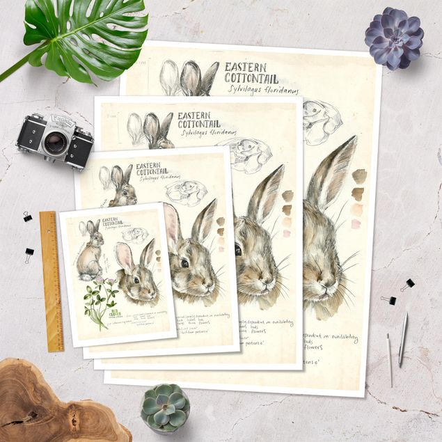Poster flowers - Wilderness Journal - Rabbit