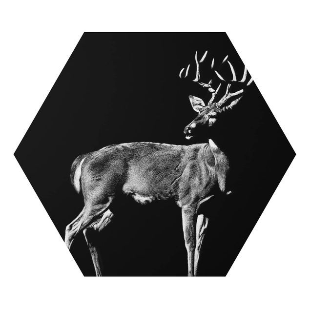 Alu-Dibond hexagon - Deer In The Dark
