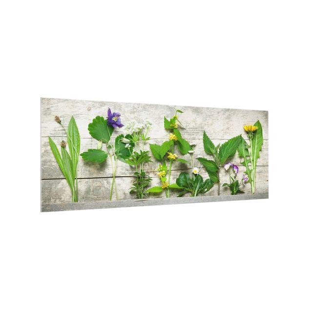 Glass splashback Medicinal and Meadow Herbs