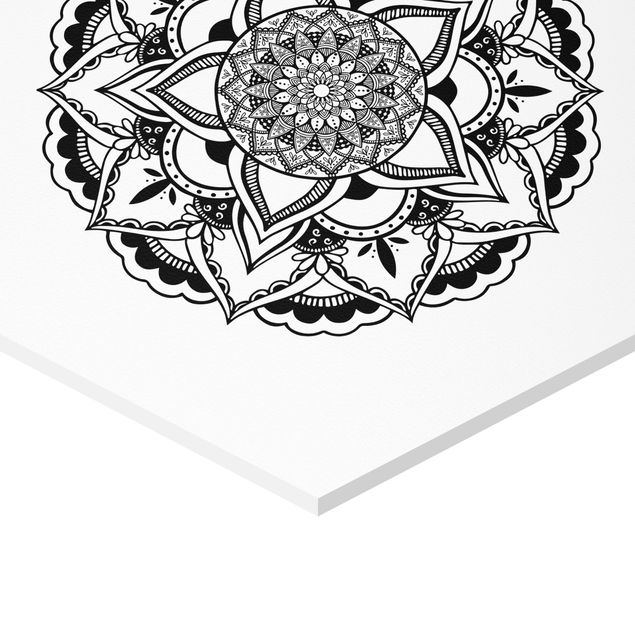 Forex hexagon - Mandala Flower Sun Illustration Set Black And White