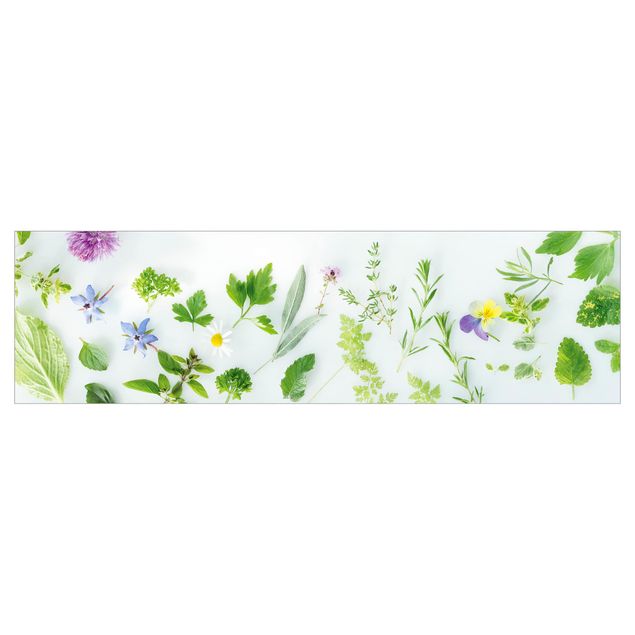 Kitchen wall cladding - Herbs And Flowers II