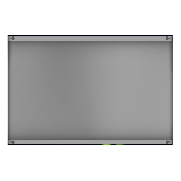 Magnetic memo board - Calla Close-Up Black Backdrop