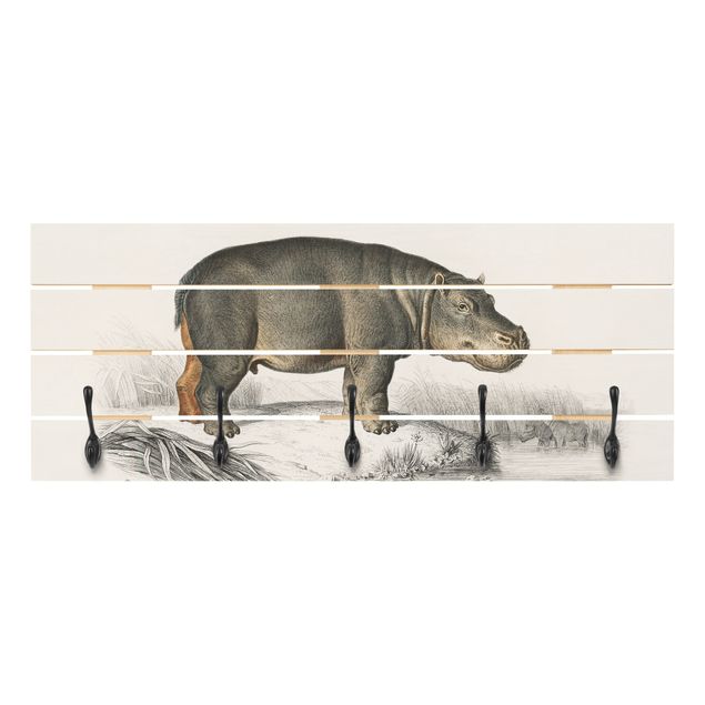 Coat rack - Vintage Board Hippo