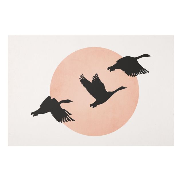 Print on forex - Birds In Front Of Rose Sun III