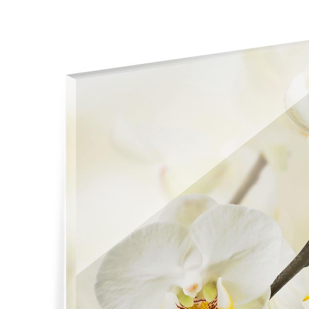 Glass Splashback - orchid branch - Square 1:1