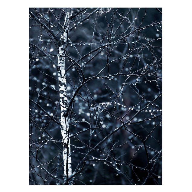 Magnetic memo board - Dark Birch Tree In Cold Rain