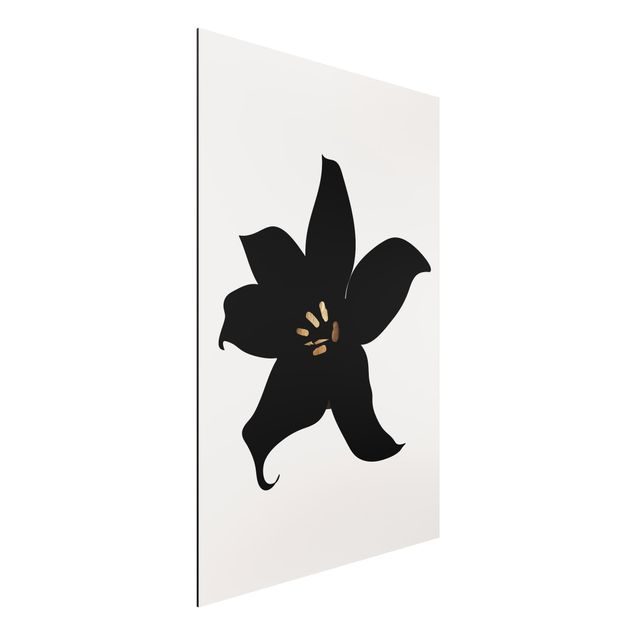 Dibond Graphical Plant World - Orchid Black And Gold