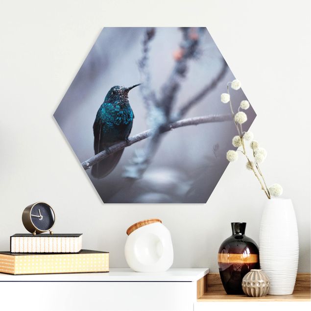 Forex hexagon - Hummingbird In Winter