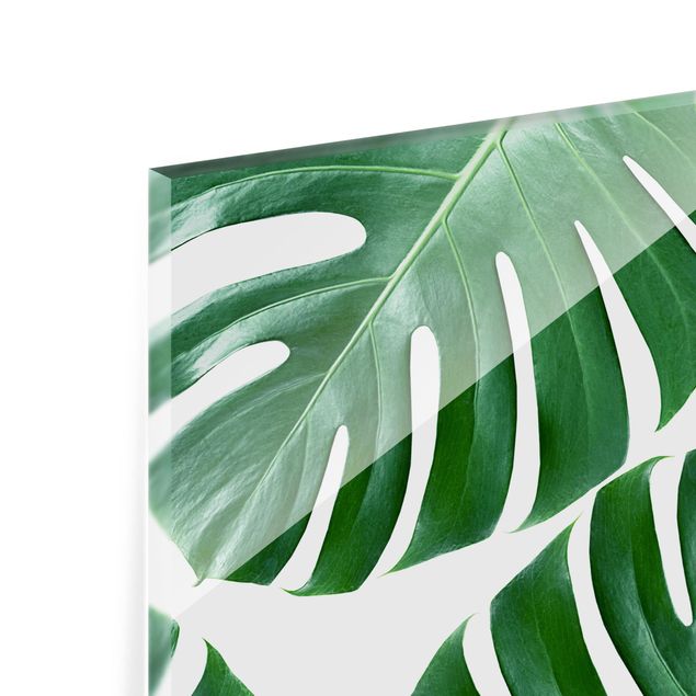 Glass Splashback - Tropical Green Leaves Monstera - Landscape 3:4