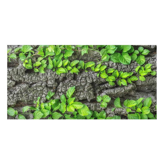 Splashback - Ivy Tendrils Tree Bark