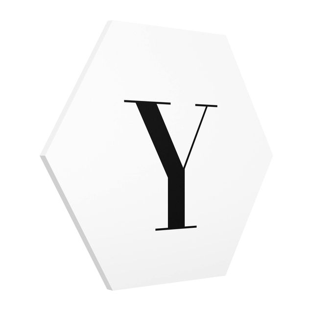 Forex hexagon - Letter Serif White Y
