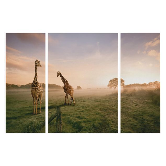 Print on canvas 3 parts - Surreal Giraffes