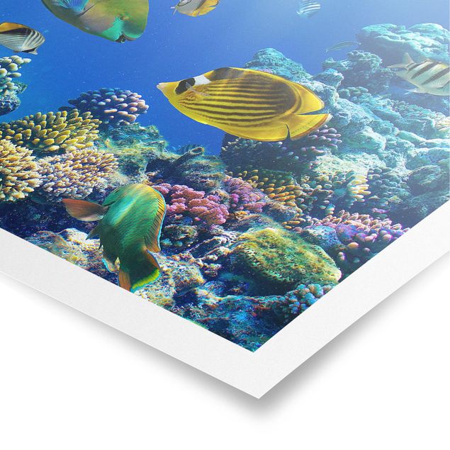 Poster - Underwater Lights