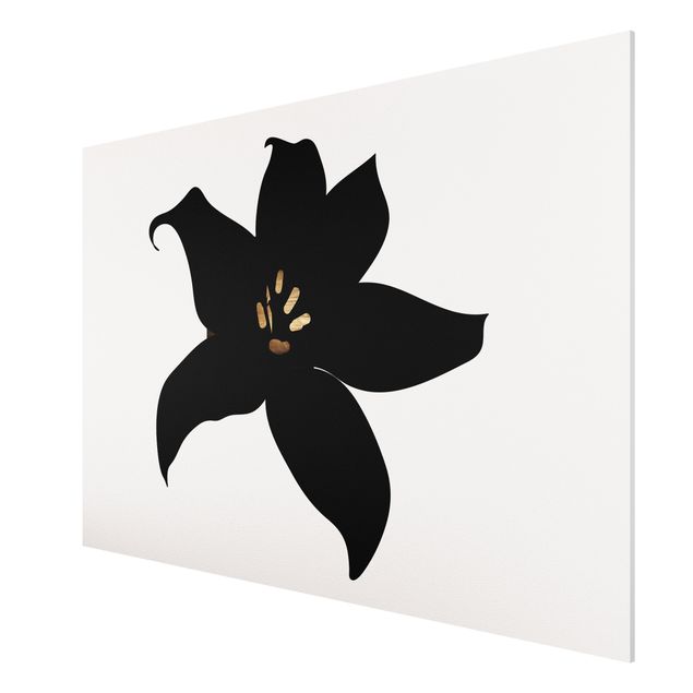 Print on forex - Graphical Plant World - Orchid Black And Gold