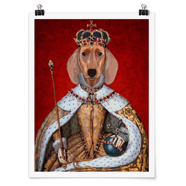 Poster animals - Animal Portrait - Dachshund Queen