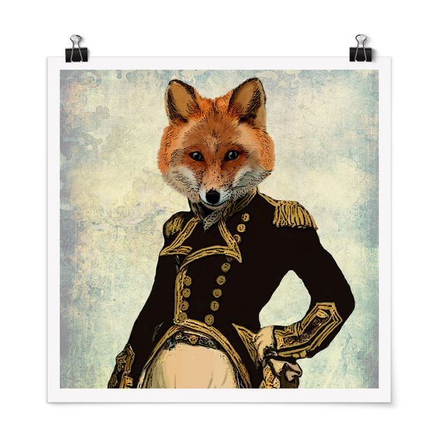 Poster - Animal Portrait - Fox Admiral