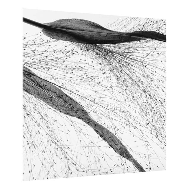 Splashback - Delicate Reed With Subtle Buds Black And White - Square 1:1