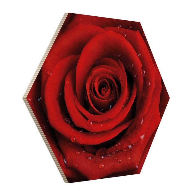 Wooden hexagon - Red Rose With Water Drops