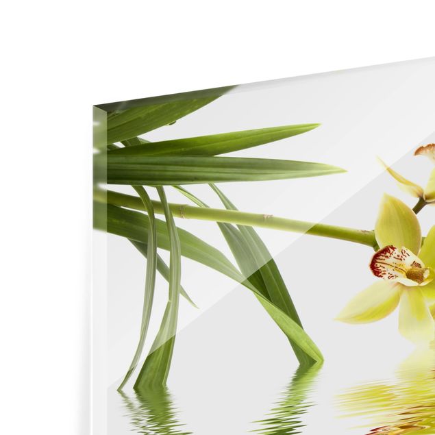 Splashback - Elegant Orchid Waters