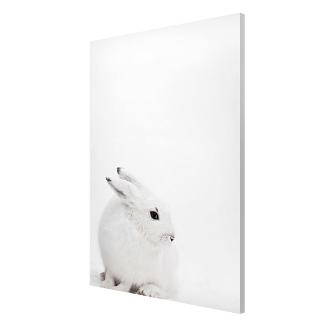 Magnetic memo board - Arctic Hare