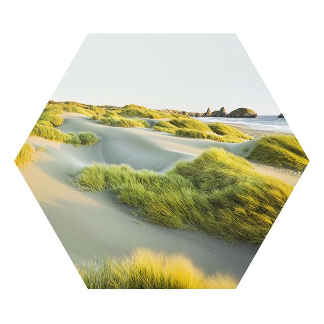 Forex hexagon - Dunes And Grasses At The Sea
