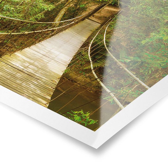 Poster - Jungle Bridge
