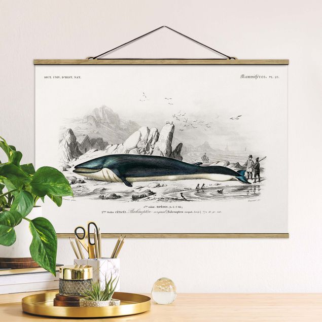 Fabric print with poster hangers - Vintage Board Blue Whale