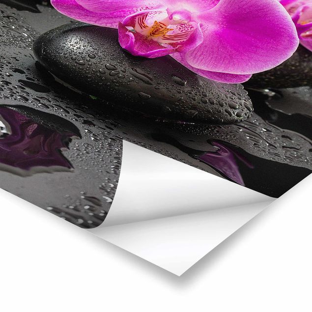 Poster - Pink Orchid Flower On Stones With Drops