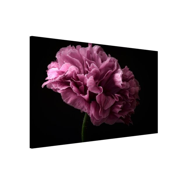 Magnetic memo board - Proud Peony In Front Of Black