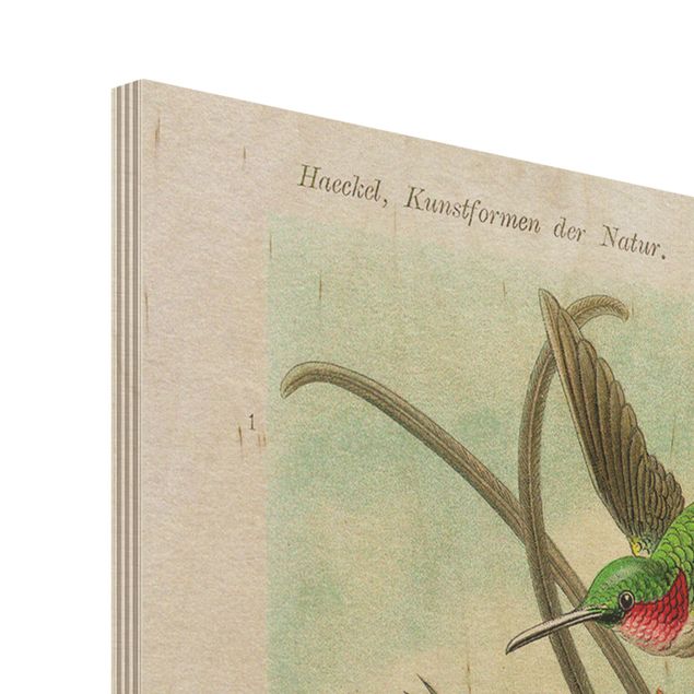 Print on wood - Vintage Board Hummingbirds
