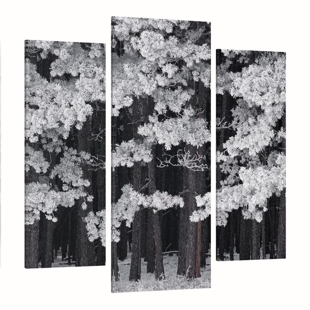 Print on canvas 3 parts - Forest With Hoarfrost In Austria