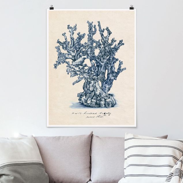 Poster flowers - Sea Corals Study II