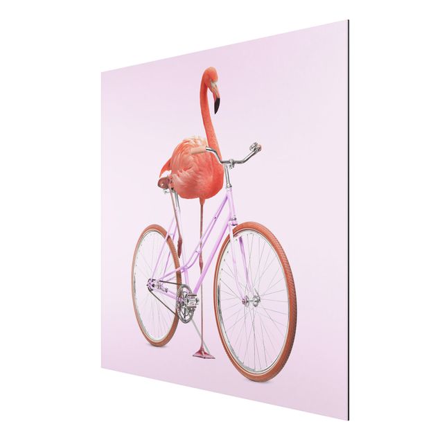 Print on aluminium - Flamingo With Bicycle