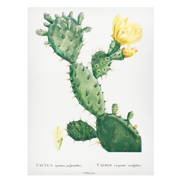 Magnetic memo board - Botany Vintage Illustration Cactus With Yellow Flower