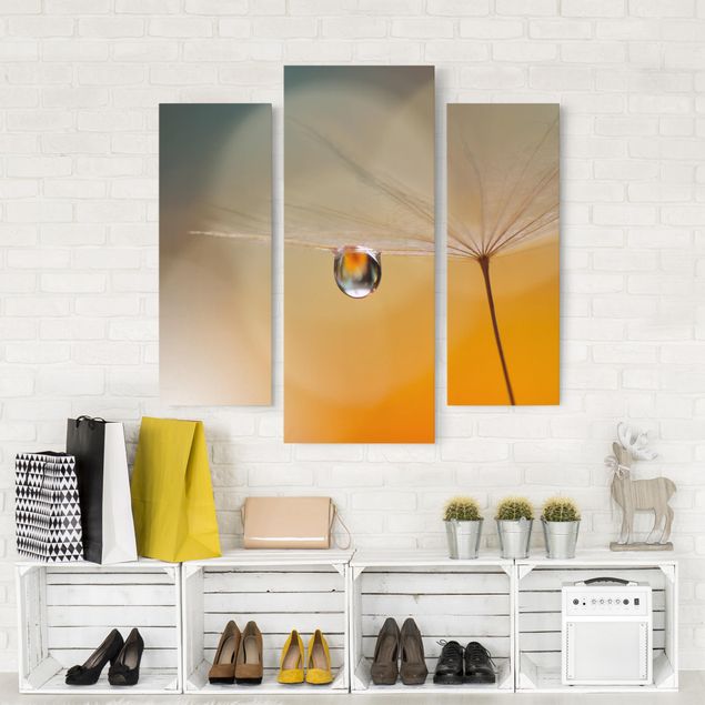 Print on canvas 3 parts - Dandelion In Orange