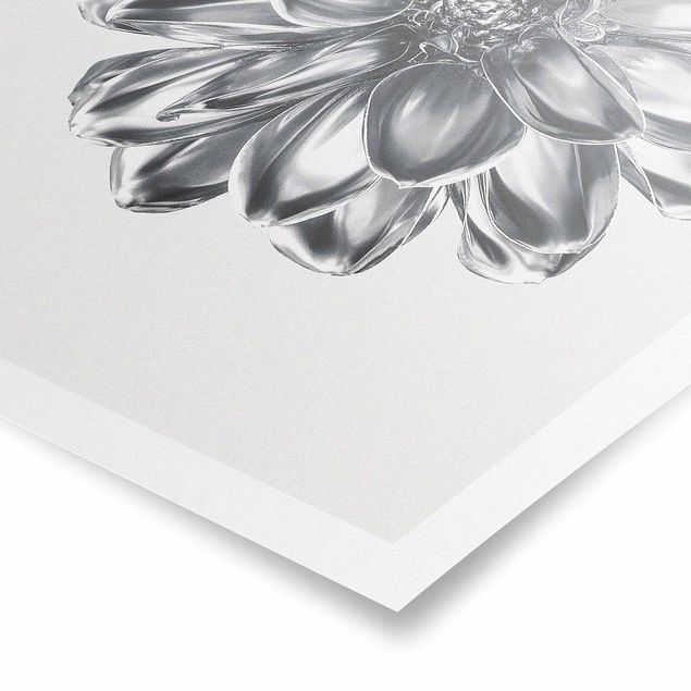 Poster - Dahlia Flower Silver Metallic