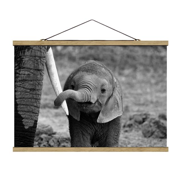 Fabric print with poster hangers - Baby Elephant
