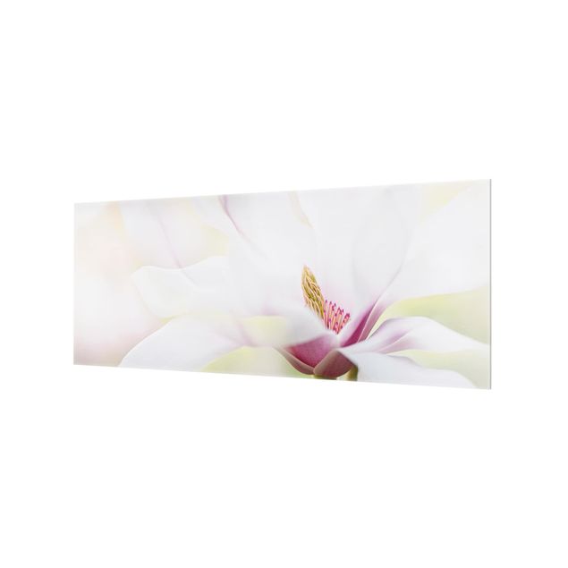 Splashback - Delicate Magnolia Blossom