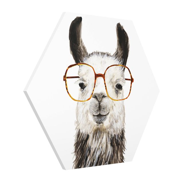 Forex hexagon - Hip Lama With Glasses IV