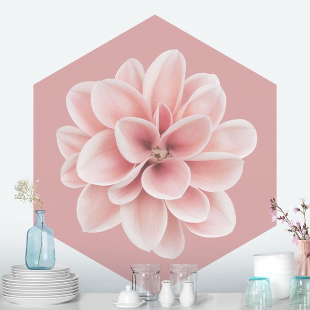Wallpapers Dahlia On Blush Pink