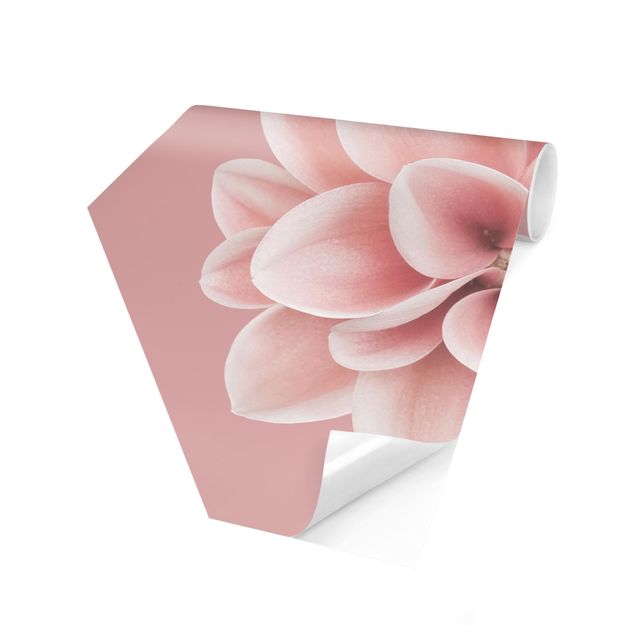 Self-adhesive hexagonal pattern wallpaper - Dahlia On Blush Pink