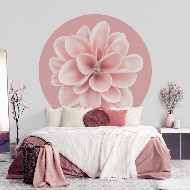 Wallpapers Dahlia On Blush Pink