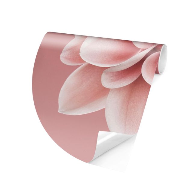 Self-adhesive round wallpaper - Dahlia On Blush Pink
