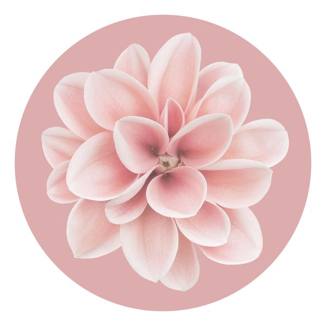 Self-adhesive round wallpaper - Dahlia On Blush Pink