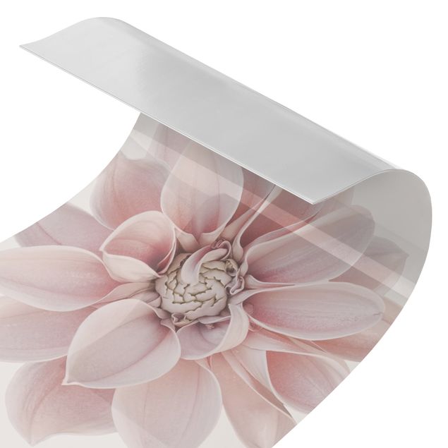 Shower wall cladding - Dahlia Flower Pastel White Pink