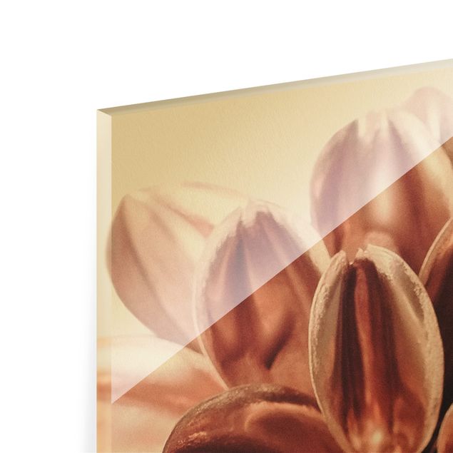 Glass print - Dahlia In Copper Gold - Landscape format