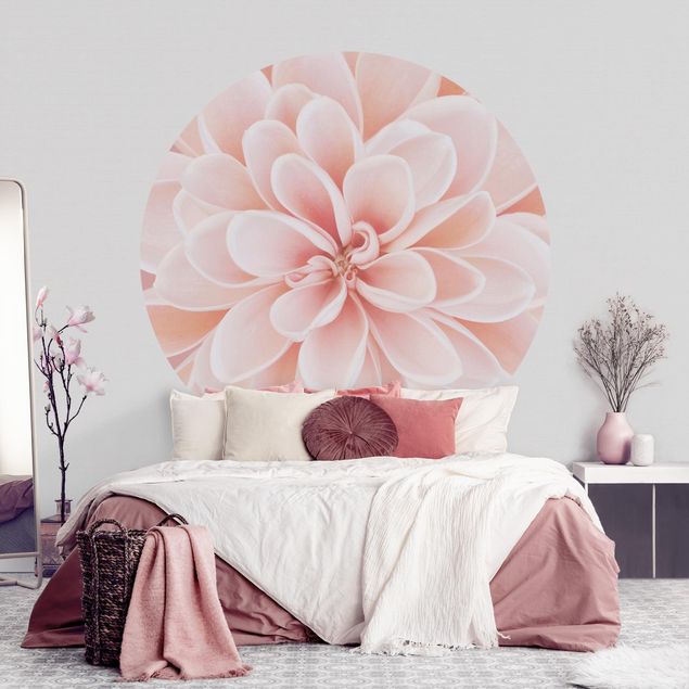Wallpapers Dahlia In Pastel Pink