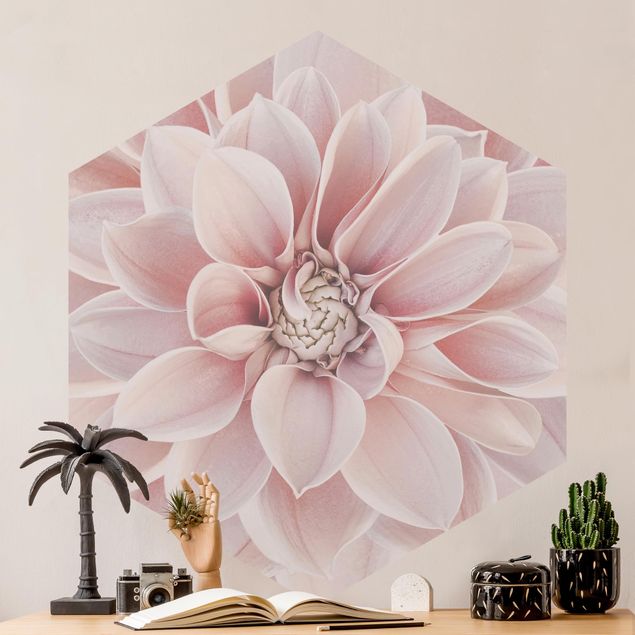 Wallpapers Dahlia In Powder Pink